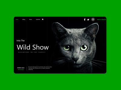 猫网着陆(Cat Web Landing)