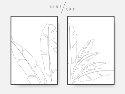 香蕉叶线条艺术(Banana leaves line art)