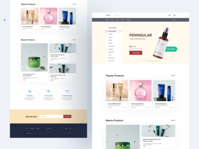 Shopiy 电子商务网站模板(Shopiy Ecommerce Website Template)