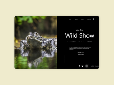 鳄鱼网登陆(crocodile Web Landing)