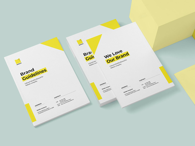 品牌指南模板宣传册(Brand Guideline Template Brochure)
