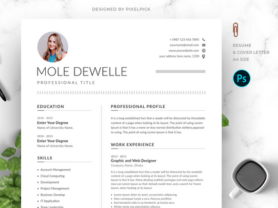 最小的简历模板(Minimal Resume Template)
