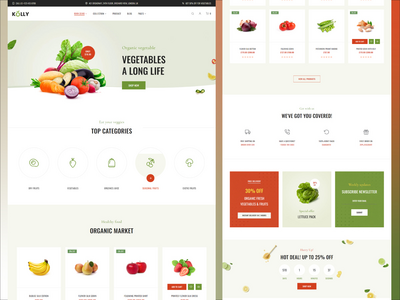 WordPress电子商务主题(WordPress eCommerce themes)