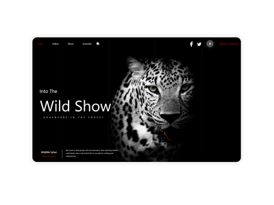豹网登陆(Lepard Web Landing)