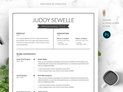 专业简历模板(Professional Resume Template)