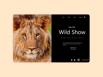 狮子概念着陆(Lion Concept Landing)