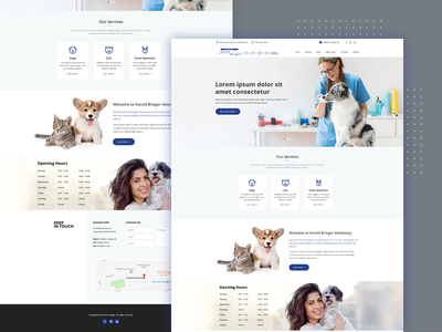 兽医医院登陆页面设计(Veterinary Hospital Landing Page Design)