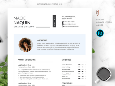 干净和最少的简历(Clean and Minimal Resume)