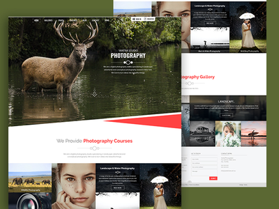 扬特拉工作室摄影(Yantra Studio Photography)