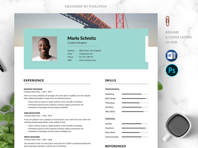 专业简历模板(Professional Resume Template)