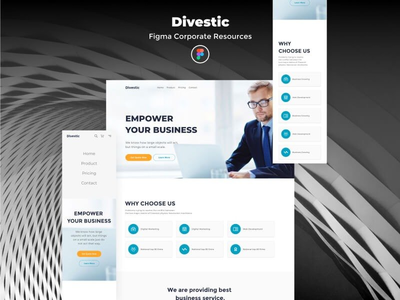 剥离 - Figma 企业资源(Divestic - Figma Corporate Resources)