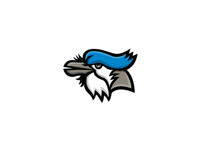 蓝鸟头吉祥物(Blue Jay Head Mascot)