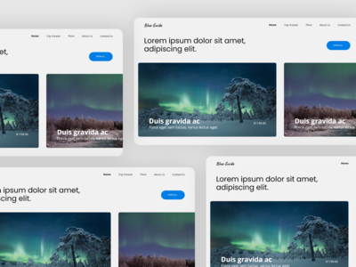 蓝色指南网(blue guide Web)