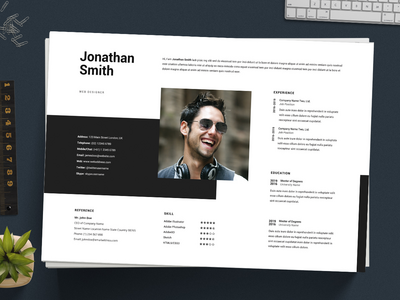 专业简历模板(Professional Resume Template)