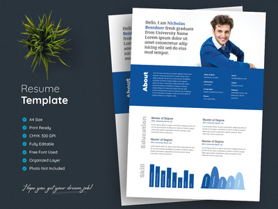 专业简历模板(Professional Resume Template)