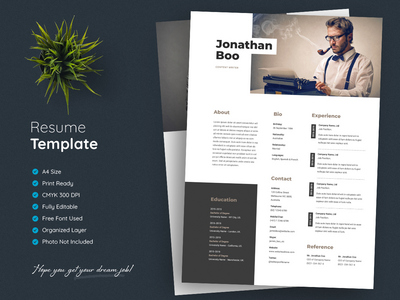 专业简历模板(Professional Resume Template)