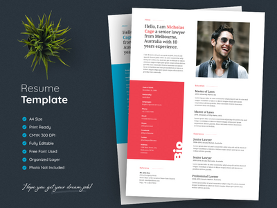 专业简历模板(Professional Resume Template)
