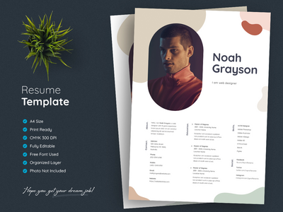 专业简历模板(Professional Resume Template)