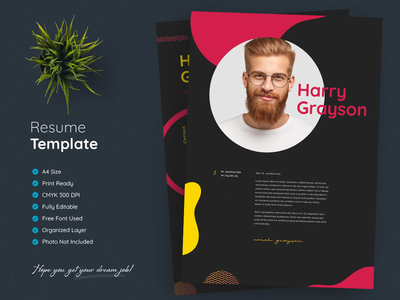 专业简历模板(Professional Resume Template)