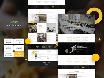 黄铜商业主页网页模板(Brassi Business Homepage Web Template)