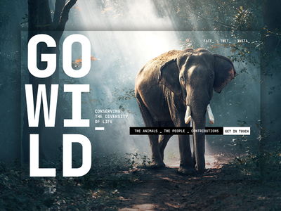 英雄标题(Hero Header)