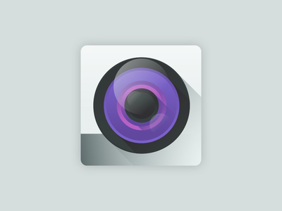 相机标志(Camera Logo)