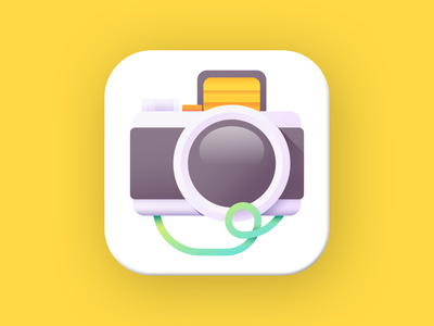 相机标志(Camera Logo)