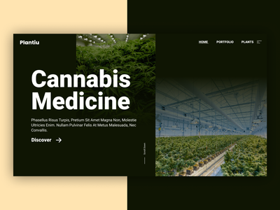 大麻医学网(Cannabis Medicine Web)