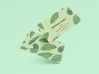 现代名片设计(Modern Business Card Design)