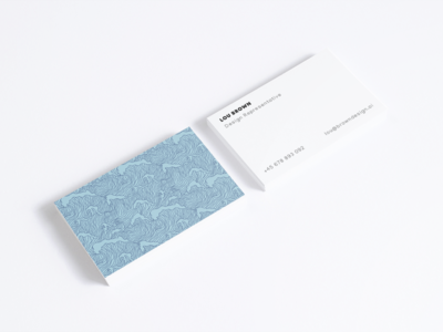 现代名片设计(Modern Business Card Design)