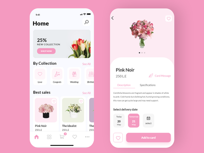 电子商务主页/产品页面(Ecommerce home /Product Page)