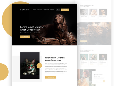 宠物护理(Pet Care)