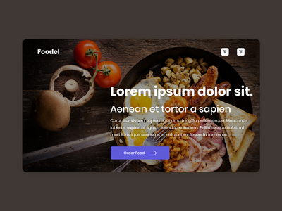 食物网概念(Food Web Concept)