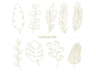 叶图标集-大纲样式(Leaf Icon Set - outline style)