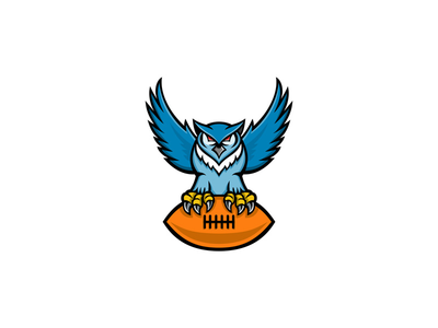 大角猫头鹰美式足球吉祥物(Great Horned Owl American Football Mascot)