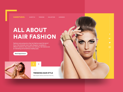 美发沙龙网页设计(Hair Salon Web Design)