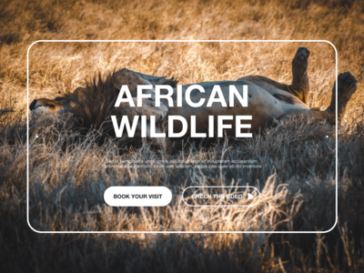 网站标题非洲野生动物(Website Header African Wildlife)
