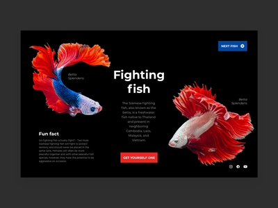 网站标题(Website Header)