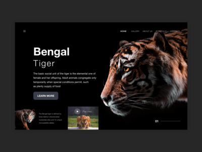 网站标题(Website Header)