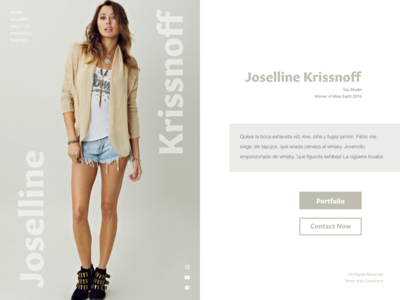 网站标题模型组合(Website Header Model Portfolio)