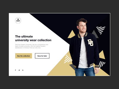 网站标题(Website Header)