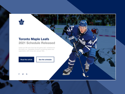 网站标题曲棍球(Website Header Hockey)