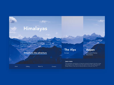 网站标题(Website Header)