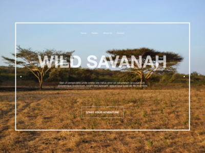 网站标题野生萨瓦纳(Website Header Wild Savanah)