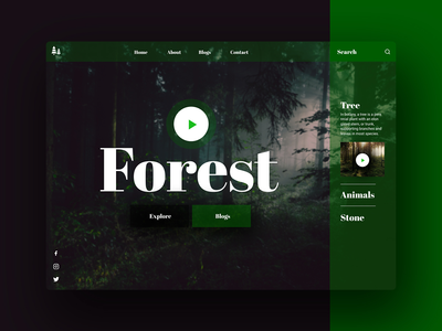 晚上在森林标题概念(Night In Forest Header Concept)