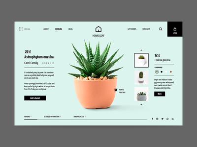 仙人掌店 - 产品页面(Cactus Shop - Product Page)