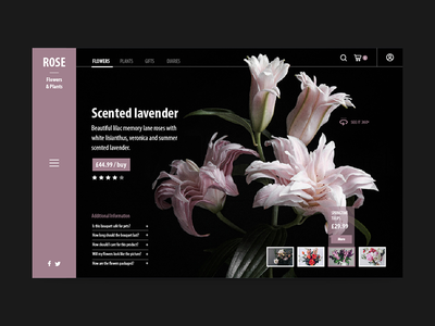 花店登陆页面(Florist Landing Page)