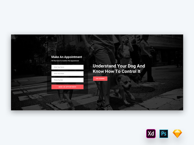 宠物培训网站的英雄标题-02(Hero Header for Pets Training Websites-02)