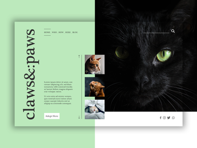 英雄标题(Hero Header)