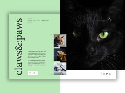 英雄头球 - 爪子和爪子(Hero Header - Claws & Paws)